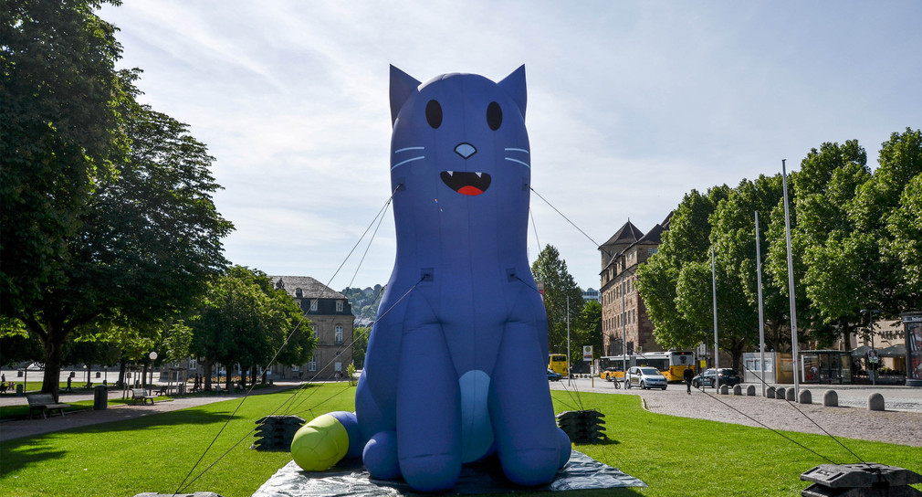 Katze der Kampagne "Alles beim Neuen" auf dem Schlossplatz in Stuttgart.