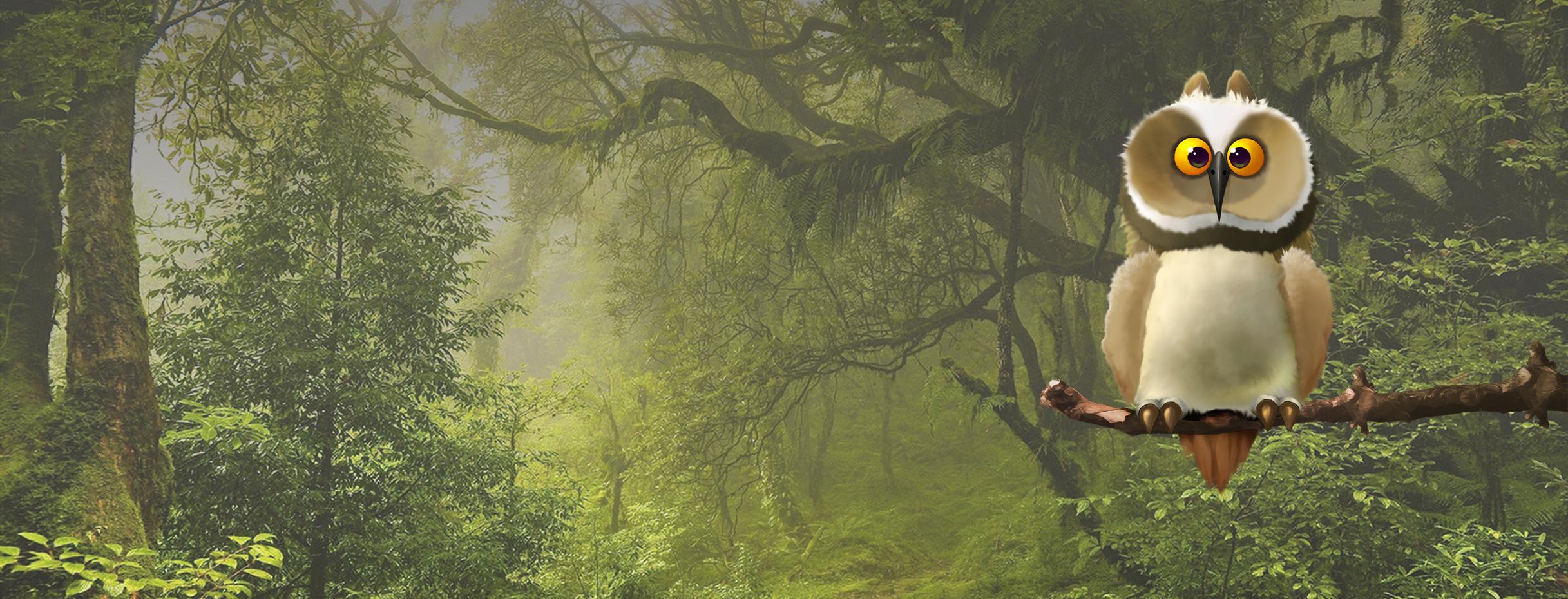 Die Eule, genannt klima Buddy sitzt auf einem Ast im Wald